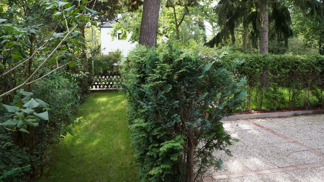 Path along the house